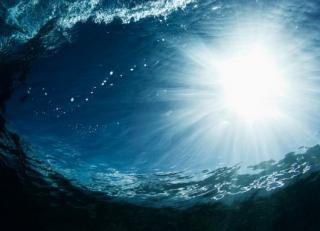 Фото - Обои Mr Perswall Adventure - 234428>