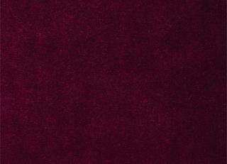 Фото - Бархатные шторы - 287327>