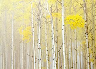 Фото - Обои Photowall Пейзажи - 298736>