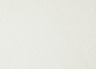 Фото - Ткани Дом CARO Sheerful - 533335>