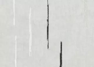 Фото - Ткани Kvadrat Broyd - 625189>