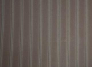 Фото - Ткани Foresti Home Collection Velluto a coste larghe - 563331>