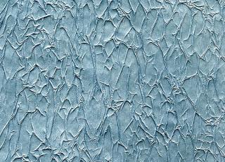 Фото - Обои Arlin Velawall - 342128>