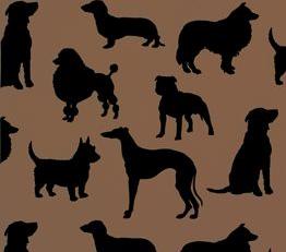 Фото - Обои Osborne & Little Walk in the park - 353178>