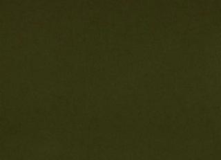 Фото - Ткани Designers Guild Loden - 550057>