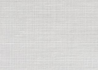 Фото - Ткани Dedar Washimache - 551444>