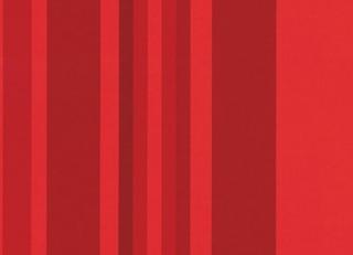 Фото - Обои Equipo DRT Encadenados - 559366>