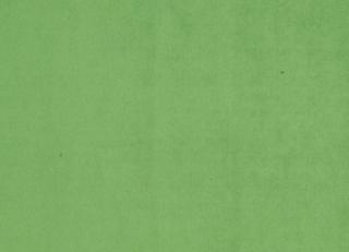 Фото - Ткани Gaston Y Daniela Lorenzo Castillo - 275111>