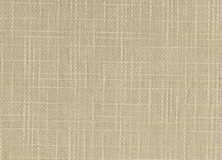 Фото - Ткани Colefax and Fowler Cassian - 260711>