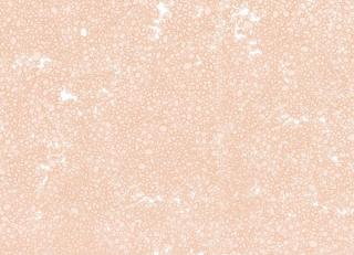 Фото - Обои Tres Tintas Wall A Porter - 198200>