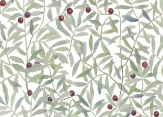 Фото - Обои Coordonne 40th Anniversary - 428711>