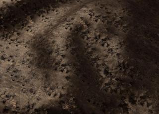 Фото - Ткани Galleria Arben Baroque - 534083>