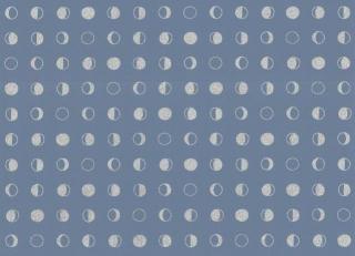 Фото - Обои York Wallcoverings Culture Club - 443505>