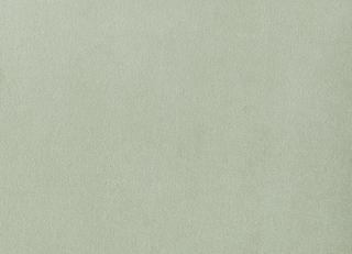 Фото - Ткани Foresti Home Collection Velluto di cotone Zeus - 563398>