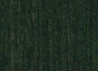 Фото - Обои Yana Svetlova Paulownia - 572466>