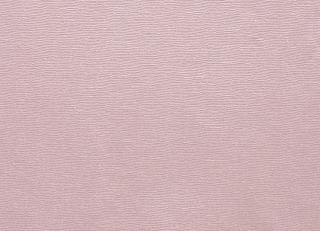 Фото - Ткани Clarke&Clarke Prima - 404436>