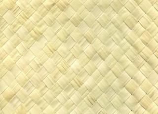 Фото - Ткани CMO Paris Palm Tree - 551131>