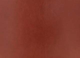 Фото - Ткани Zinc Leather Volume I - 565535>