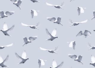 Фото - Обои Wall&Deco Life - 199980>