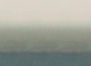 Фото - Обои Omexco Joy - 611845>