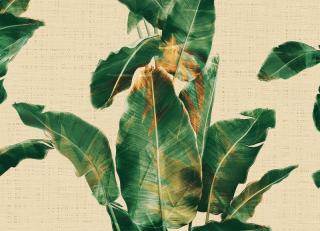 Фото - Обои GNI Gaenari Raum - 483236>