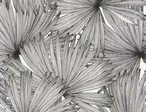 Фото - Обои Caselio Moonlight - 632036>