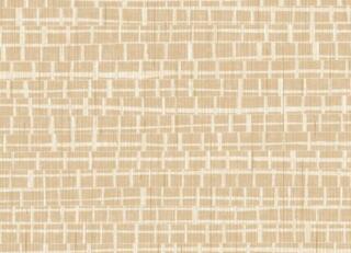 Фото - Обои Arte Contract Madagascar - 629868>