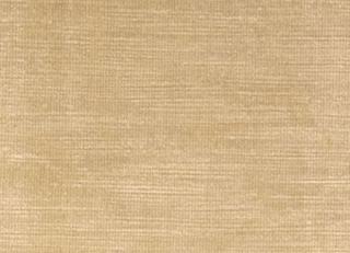 Фото - Ткани Clarke&Clarke Majestic Velvet - 296317>