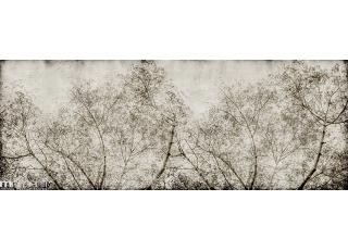 Фото - Обои Momenti 2017 Collection - 347568>