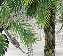 Фото - Обои с деревьями для стен - 200711>