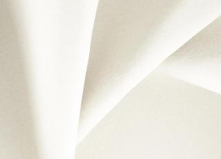 Фото - Ткани Daylight Biscotto - 532439>