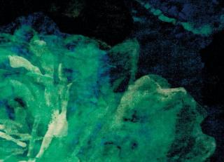 Фото - Ткани Rubelli Mirafiore - 492557>