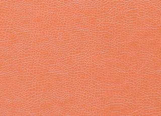 Фото - Ткани Designers Guild Kalahari - 261401>