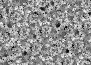 Фото - Обои Mr Perswall Nostalgic - 234915>