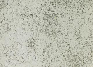 Фото - Обои KT Exclusive Artemide - 574089>