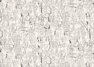 Фото - Ткани Black Edition Kansai Prints - 541424>