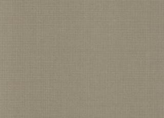 Фото - Обои Sandberg Frank - 351299>