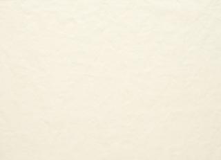 Фото - Ткани Designers Guild Moselle Vegetale - 293404>