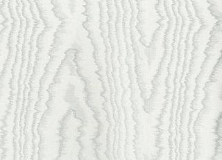 Фото - Обои Arlin Morning - 348198>