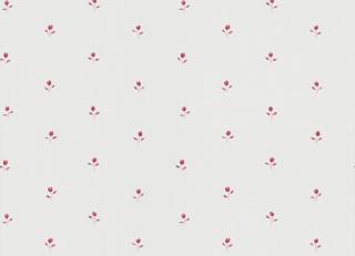 Фото - Обои Sandberg Cecilia - 244625>