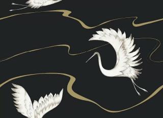 Фото - Обои York Wallcoverings Black&White - 548645>