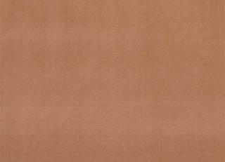 Фото - Ткани Clarke&Clarke Alvar 2 - 492788>