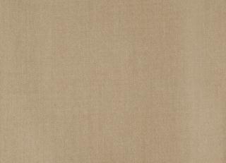 Фото - Ткани Holland & Sherry Patagonia - 524917>