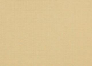 Фото - Ткани Jane Churchill Aero - 456473>