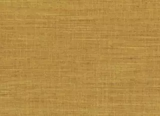 Фото - Ткани Casamance La route de la soie - 629608>