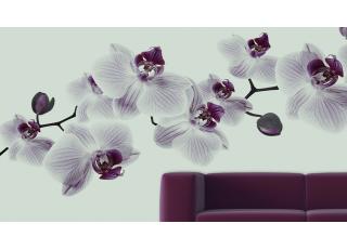 Фото - Обои Glamora Essence - 225529>