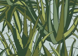 Фото - Обои Pierre Frey Eternel Ete - 516208>