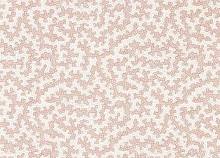 Фото - Обои Sanderson Arboretum - 565767>