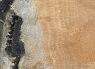 Фото - Обои Tecnografica Decora Stucco - 341454>