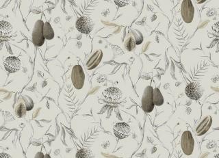 Фото - Обои Khroma Cabinet of curiosities - 508885>